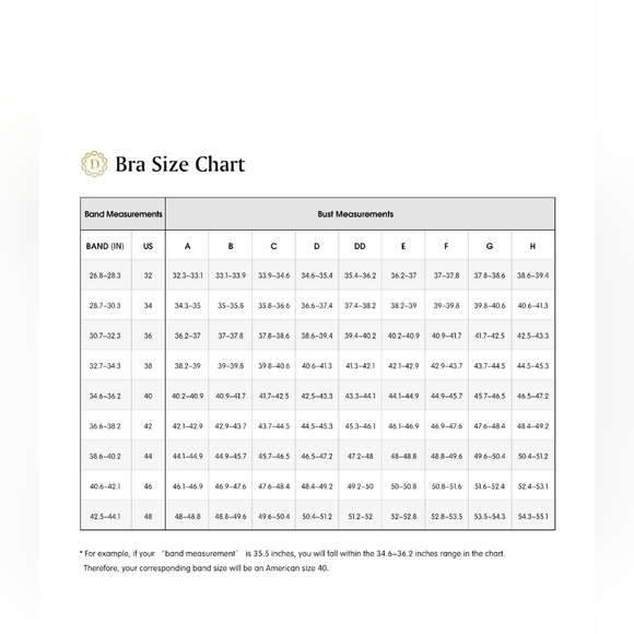 Delimira Bra Womens 42DD Underwire Lace Detail Full Cup Back Hook Underlined - Picture 3 of 13